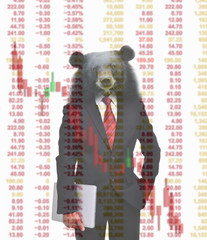 bear market, stock investment concept