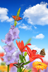 Wall Mural - Spring flowers with butterflies