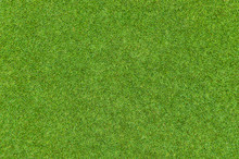 Beautiful Green Grass Pattern From Golf Course