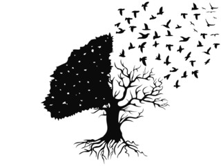 birds flying from the tree