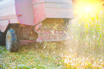 Wall Mural - close up view on combine harvester in time of harvesting corn re