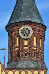 Canvas Print - Tower Konigsberg Cathedral. Symbol of Kaliningrad, Russia