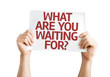 © gustavofrazao - What Are You Waiting For? card isolated on white background