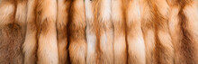 Red Fox Fur