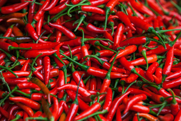 Red Chili Pepper