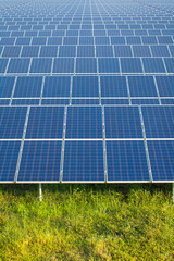 Solar power for electric renewable energy in green field