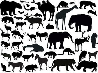 Sticker - forty three isolated animals  silhouettes