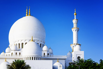 Wall Mural - White Mosque