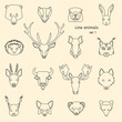 Forest animals line icons