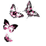 Fototapeta Motyle - butterfly