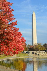 Wall Mural - Washington DC, Washington Monument  in Autumn