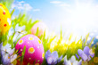 Colorful Easter eggs decorated with flowers in the grass on blue