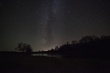 Wall Mural - a beautiful night sky, the milky way and the trees