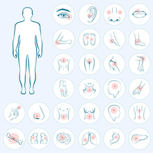 Vector Human Anatomy, Body Pain, Medical Illustration