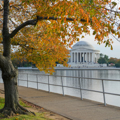 Wall Mural - Washington DC, Thomas Jefferson Memorial in Autumn