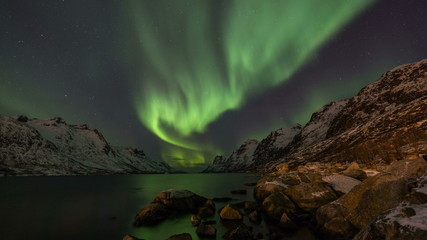 Wall Mural - northern lights over fjords in norway coast