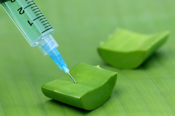 Canvas Print - Injection syringe and fresh aloe vera