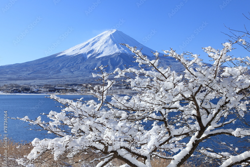 I. Hashimoto 富士山の雪景色 油彩画 1996年 QW4413 富士山と雪景色Stock