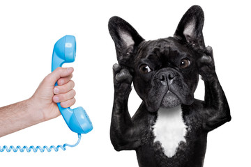 Poster - dog phone telpehone