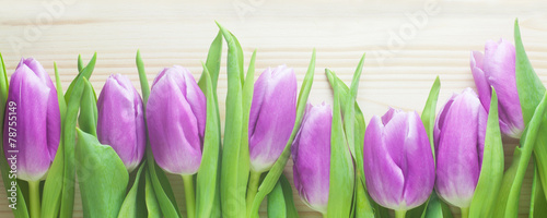 Naklejka nad blat kuchenny Piękne fioletowe tulipany