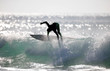 Surfer wellenreiter
