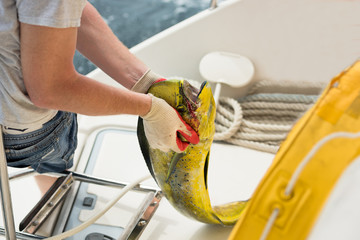 Men holds a fresh catching fish