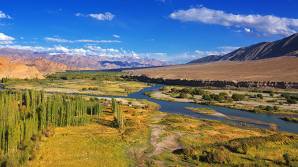 Aerial view of Leh City, green landscape with ice peaks , blue sky with clouds in background , Ladakh, Jammu and Kashmir, India