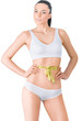 © chettythomas - Slim woman in white underwear  and measure around her body on