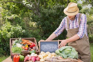 Farmer selling organic veg at market