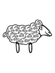 SHEEP natural wool