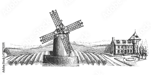 Fotografía windmill vector logo design template. harvest or village icon.