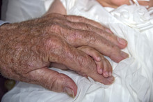 Old Retired Man Hands Holding Newborn Infant One