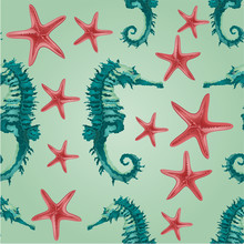 Seamless Texture Seahorse And Starfish Vector