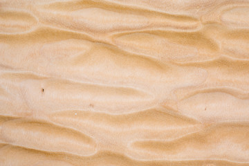 Wall Mural - Texture of Quilted Maple