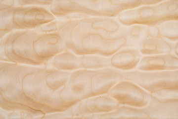 Wall Mural - Texture of Quilted Maple