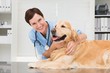 © WavebreakMediaMicro - Smiling veterinarian examining a cute dog