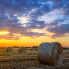 Wall Mural - Sunset over farm field with hay bales