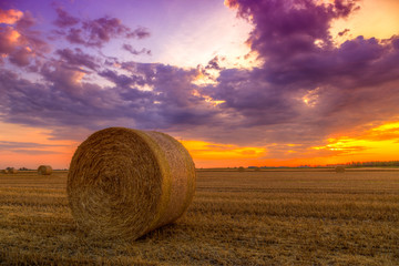 Wall Mural - Sunset over farm field with hay bales