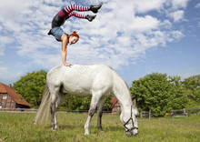 Akrobatin Auf Einem Pferd