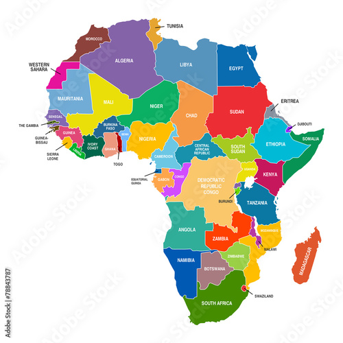 Fotografie, Obraz Africa Map Colored Countries Shapes