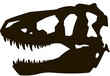 Tyrannosaur skull