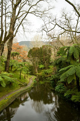 Wall Mural - Terra Nostra Park