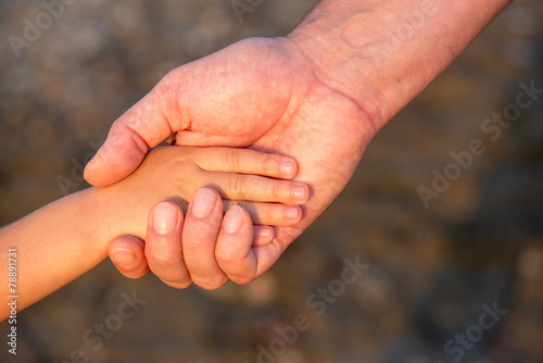 Fotografía Father's hand lead his child son in summer forest nature