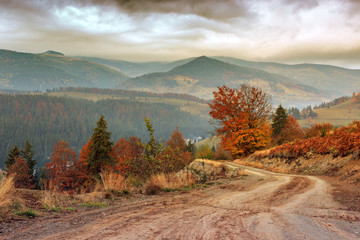 Poster - Morning in Carpathians mountain