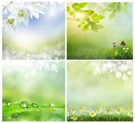 Wall Mural - spring backgrounds