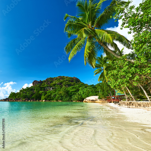 piekna-plaza-z-drzewkiem-palmowym-przy-seychelles