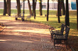 garden bench in autumn park landscape