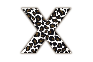 Poster - font with pattern leopard