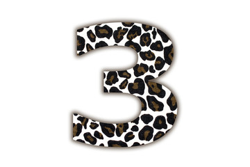 Poster - font with pattern leopard