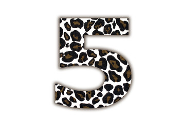 Poster - font with pattern leopard